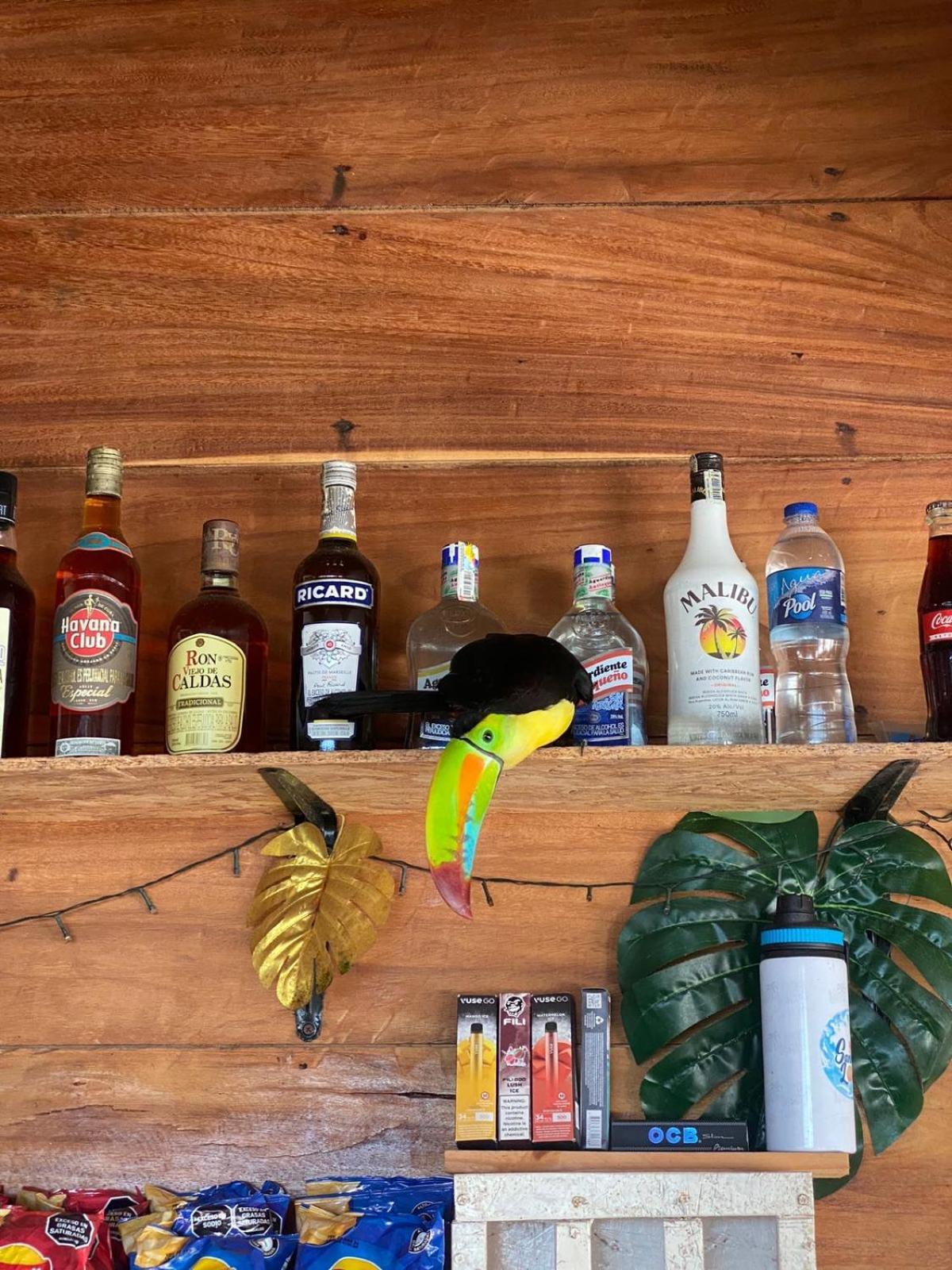 Santa Lova Eco-Hostel Isla Tintipan Tintipan Island ภายนอก รูปภาพ