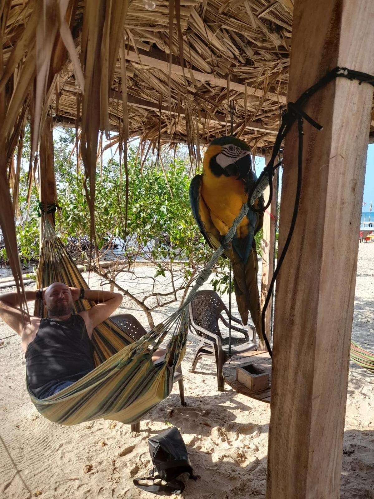 Santa Lova Eco-Hostel Isla Tintipan Tintipan Island ภายนอก รูปภาพ